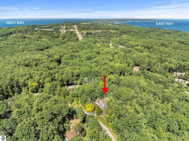 2127 E Timberlane Dr, Traverse City, MI 49686 - birds eye view of property featuring a view of trees and a water view