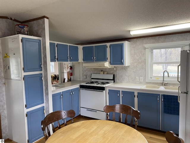 kitchen featuring white appliances, blue cabinets, a sink, a textured ceiling, and under cabinet range hood