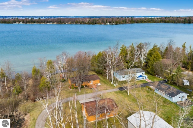 6698 Grove St, Kewadin, MI 49648 - birds eye view of property with a water view