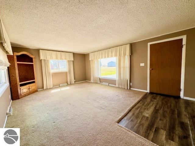1705 S State Rd, Ithaca, MI 48847 - unfurnished living room featuring carpet flooring and a textured ceiling