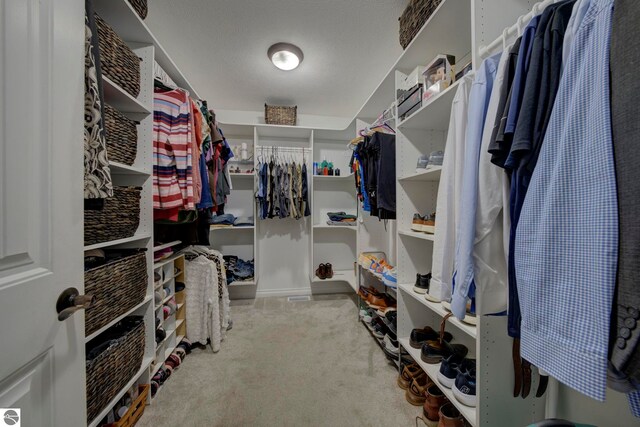 walk in closet featuring carpet flooring