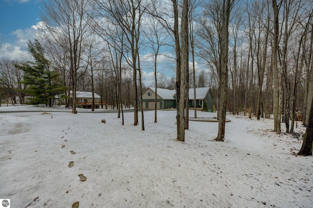 view of yard covered in snow