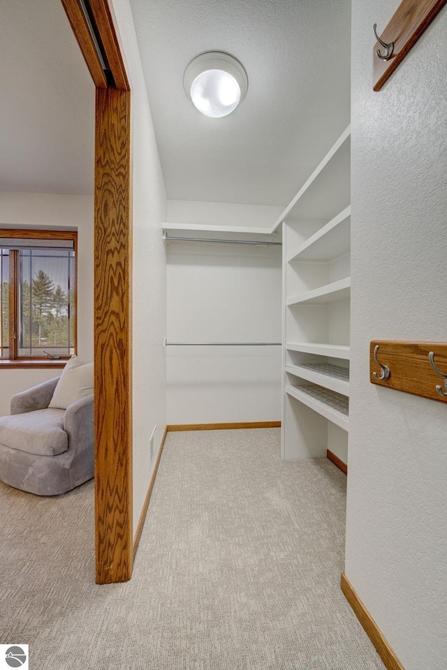 1339 Killdeer Ln, Kingsley, MI 49649 - walk in closet with visible vents and carpet flooring