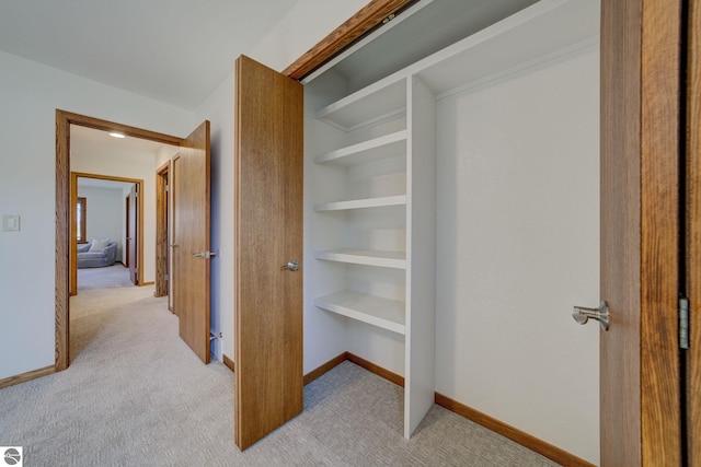 1339 Killdeer Ln, Kingsley, MI 49649 - view of closet