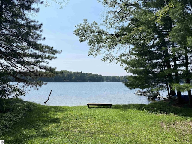 water view with a view of trees
