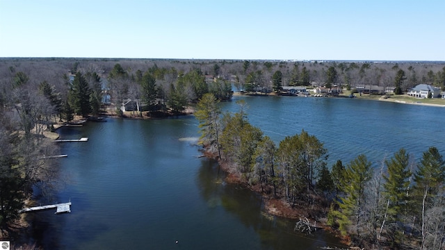 7119 Lakewood Dr, Oscoda, MI 48750 - birds eye view of property with a forest view and a water view