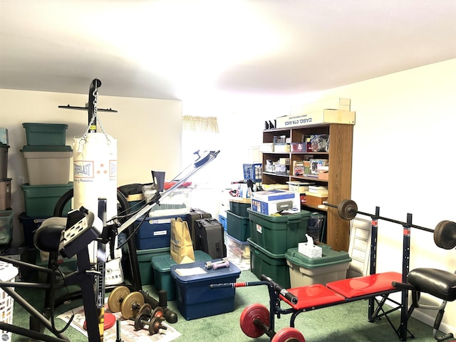 7119 Lakewood Dr, Oscoda, MI 48750 - view of storage room