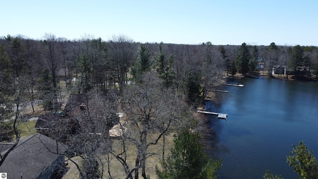 7119 Lakewood Dr, Oscoda, MI 48750 - birds eye view of property featuring a water view and a view of trees
