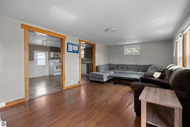 living room featuring wood finished floors