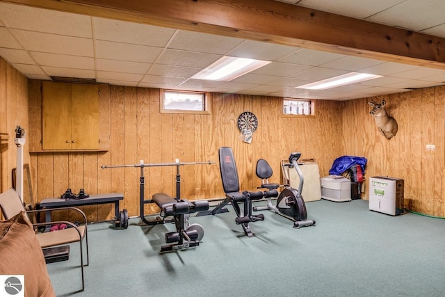 7726 Anway Dr, Battle Creek, MI 49014 - exercise area with wood walls, carpet floors, plenty of natural light, and a drop ceiling