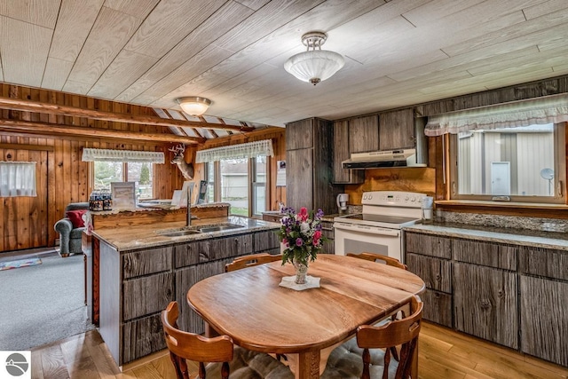 7726 Anway Dr, Battle Creek, MI 49014 - kitchen featuring wood ceiling, a sink, white electric stove, wood walls, and under cabinet range hood