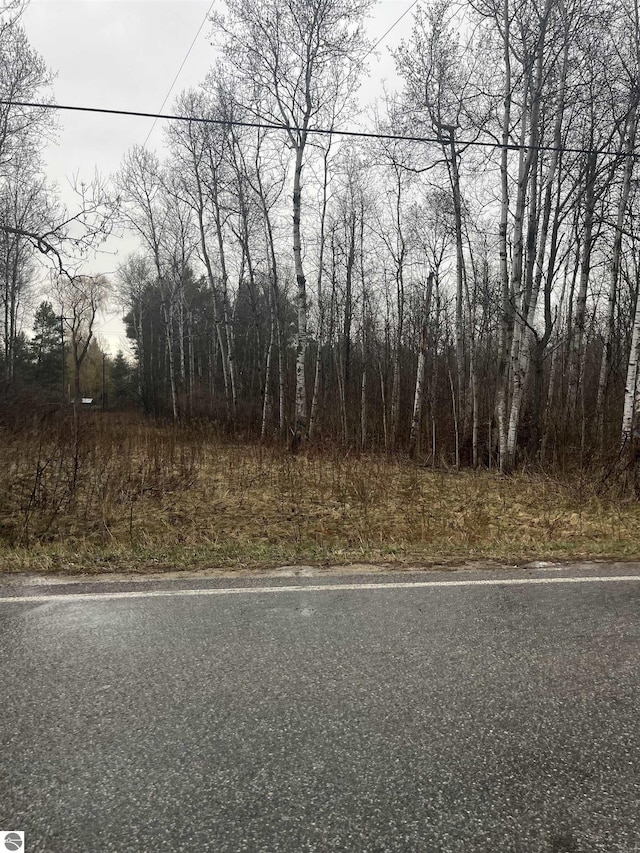 0 N Michigan Ave, Manton, MI 49663