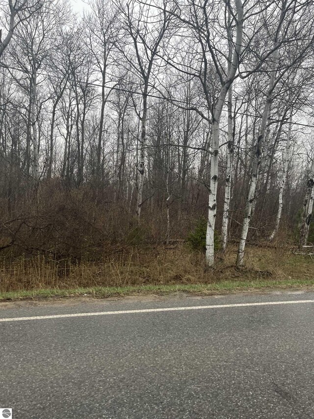 0 N Michigan Ave, Manton, MI 49663