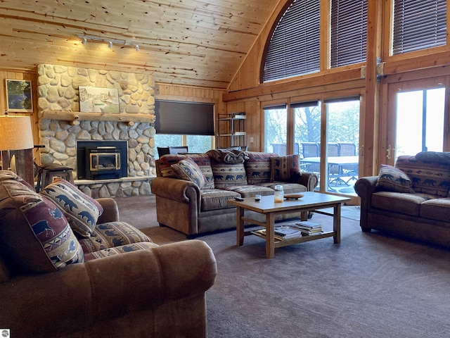 living room with wood ceiling, rail lighting, wooden walls, and carpet