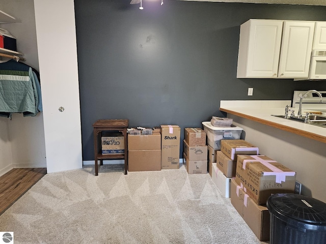 100 Fourth Ave Unit E-3, Tawas City, MI 48763 - storage featuring a sink