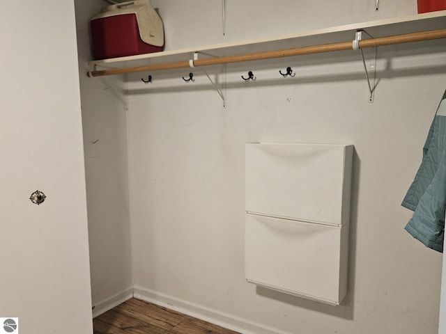 100 Fourth Ave Unit E-3, Tawas City, MI 48763 - spacious closet featuring wood finished floors