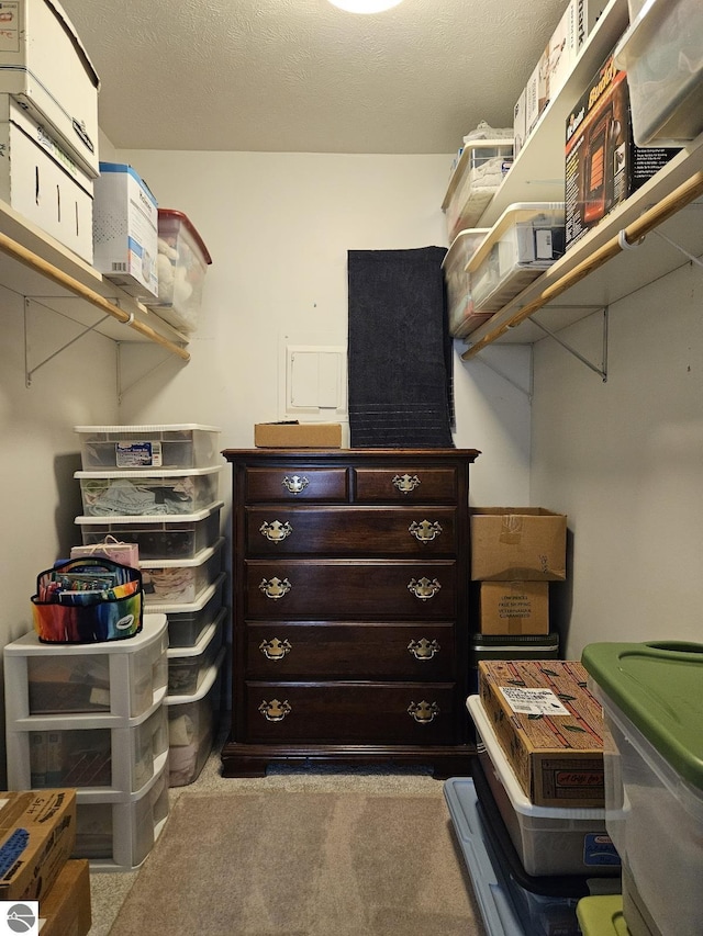 100 Fourth Ave Unit E-3, Tawas City, MI 48763 - walk in closet with carpet floors