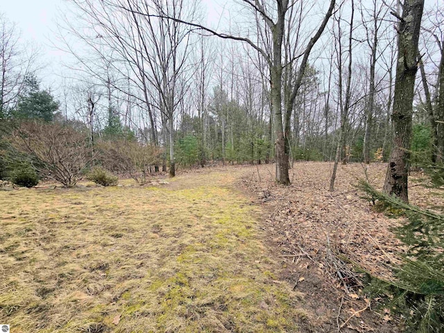 view of local wilderness