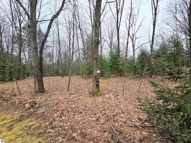 view of landscape featuring a wooded view