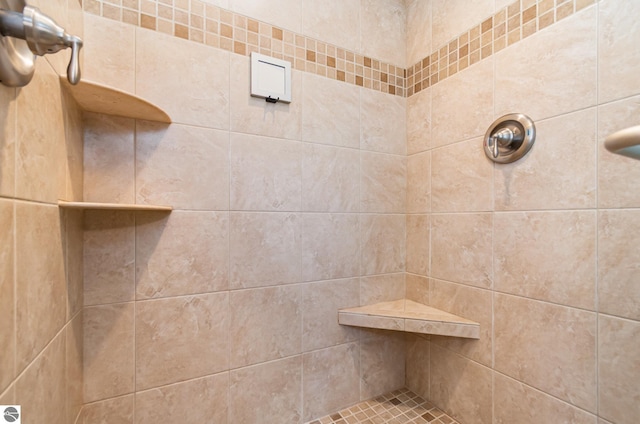 3901 W Thendara Dr, Gladwin, MI 48624 - interior details featuring a tile shower