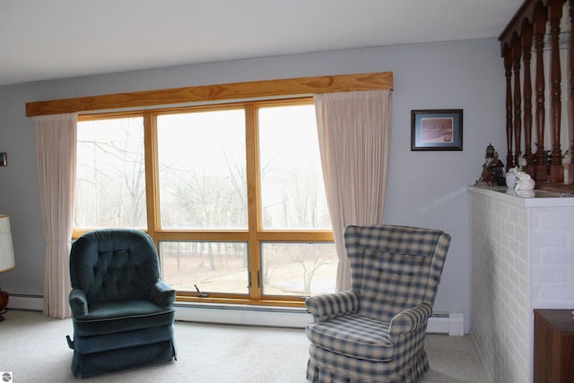 living area featuring plenty of natural light, carpet, and a baseboard radiator