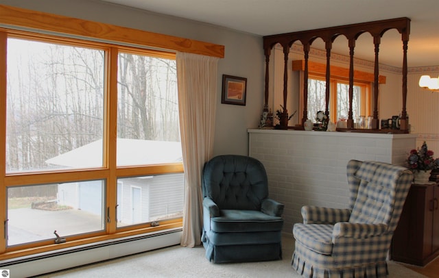 sitting room featuring carpet floors and baseboard heating