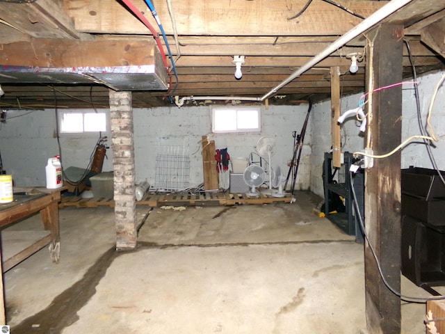 116 N Main St, Saint Louis, MI 48880 - view of below grade area