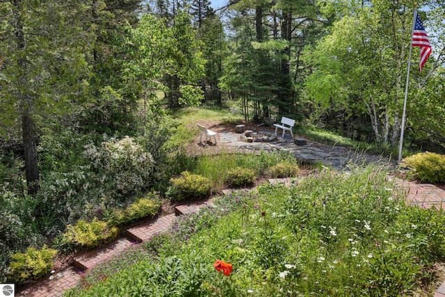 5343 Michibay Dr, Manistique, MI 49854 - view of yard with a fire pit