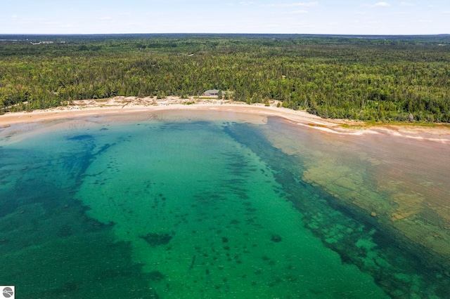 5343 Michibay Dr, Manistique, MI 49854 - drone / aerial view with a wooded view