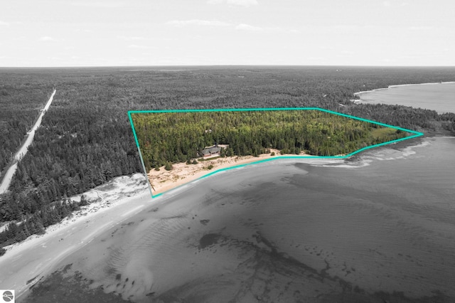 5343 Michibay Dr, Manistique, MI 49854 - drone / aerial view featuring a forest view and a water view