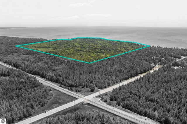 5343 Michibay Dr, Manistique, MI 49854 - birds eye view of property featuring a forest view and a water view