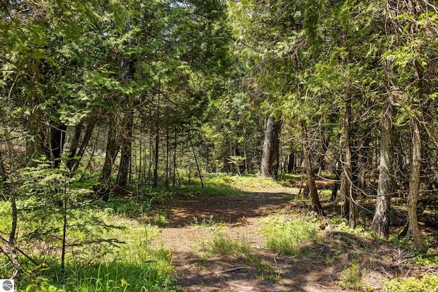 5343 Michibay Dr, Manistique, MI 49854 - view of nature with a wooded view