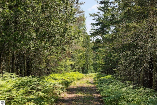 5343 Michibay Dr, Manistique, MI 49854 - view of landscape featuring a wooded view