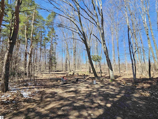 7497 N 7 Mile Rd, Lake City, MI 49651 - view of local wilderness