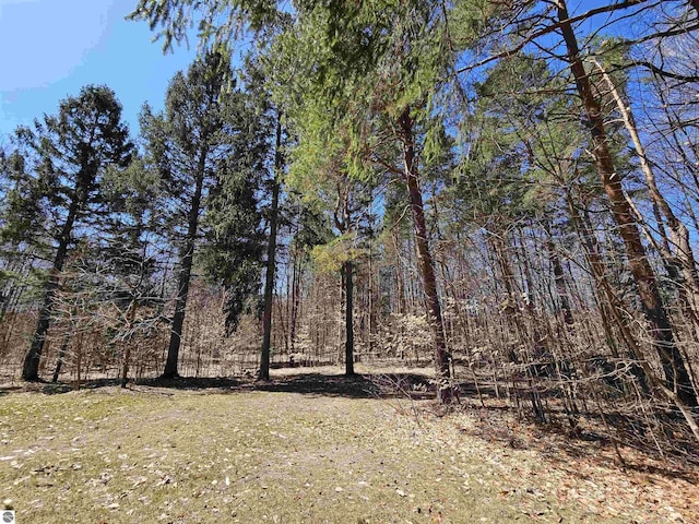 7497 N 7 Mile Rd, Lake City, MI 49651 - view of local wilderness