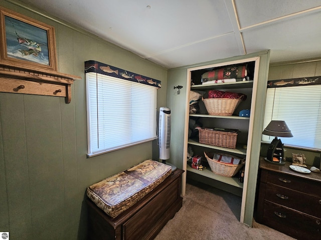 mudroom featuring plenty of natural light and dark carpet