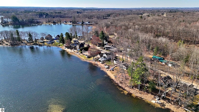 8991 W Oak Ln, Lake City, MI 49651 - aerial overview of property's location with a large body of water and a heavily wooded area
