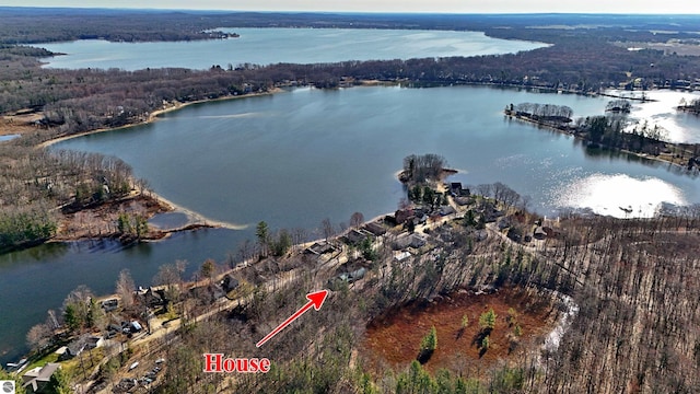 8991 W Oak Ln, Lake City, MI 49651 - view of property location with a nearby body of water and a forest