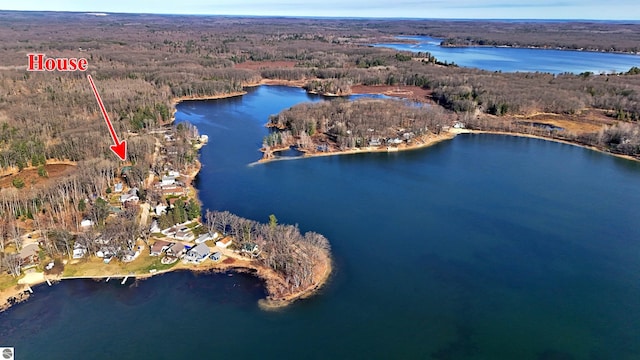 8991 W Oak Ln, Lake City, MI 49651 - aerial view of property and surrounding area featuring a heavily wooded area and a large body of water