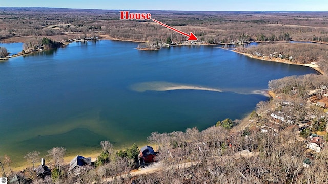 8991 W Oak Ln, Lake City, MI 49651 - bird's eye view of a large body of water and a heavily wooded area