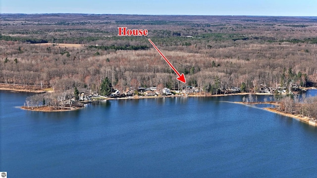 8991 W Oak Ln, Lake City, MI 49651 - drone / aerial view of a forest and a nearby body of water
