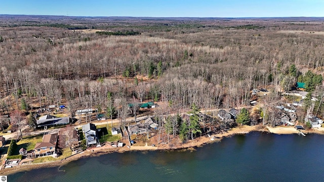 8991 W Oak Ln, Lake City, MI 49651 - aerial view of property's location with a forest and a nearby body of water