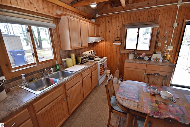 8991 W Oak Ln, Lake City, MI 49651 - kitchen with white electric range, under cabinet range hood, a sink, wood walls, and light carpet