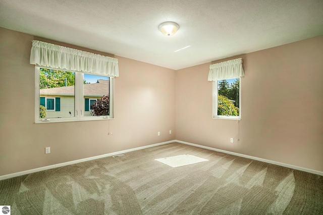 spare room featuring plenty of natural light, baseboards, and carpet flooring