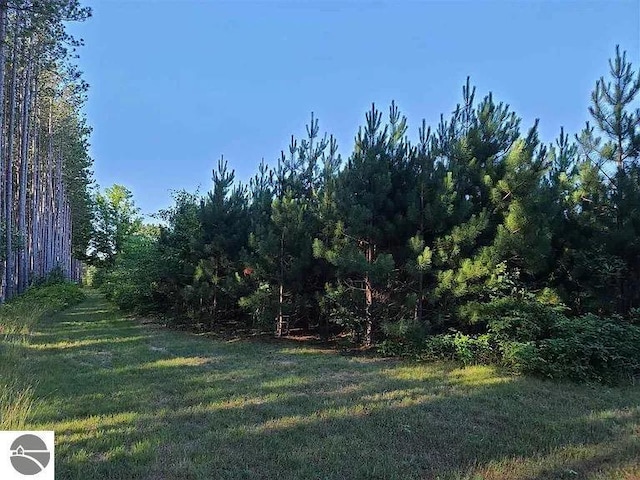 view of yard with a forest view