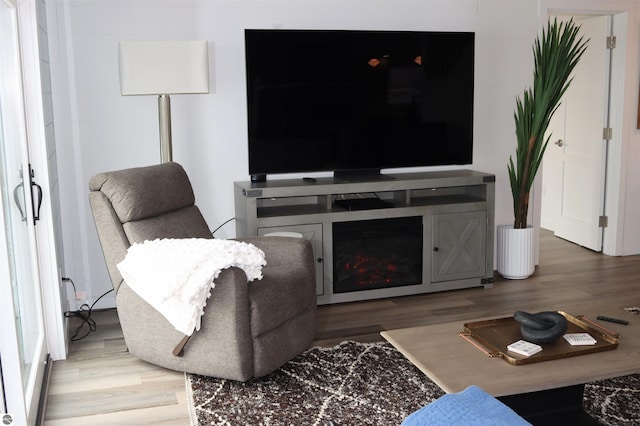 745 S Crescent Ave, Au Gres, MI 48703 - living room featuring wood finished floors and a fireplace