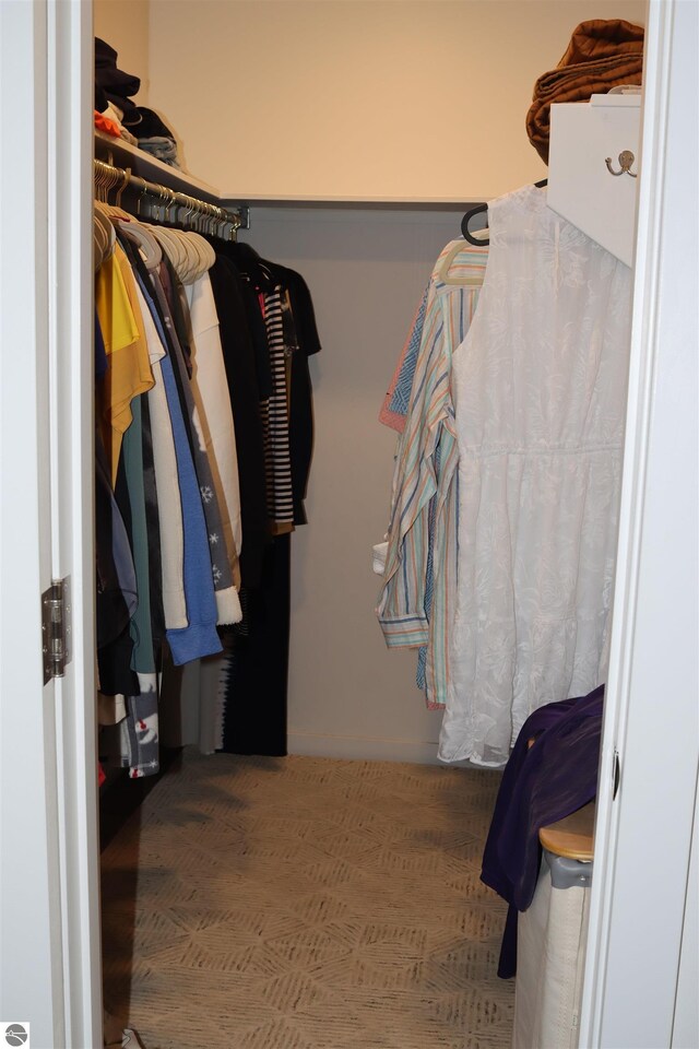 745 S Crescent Ave, Au Gres, MI 48703 - view of spacious closet