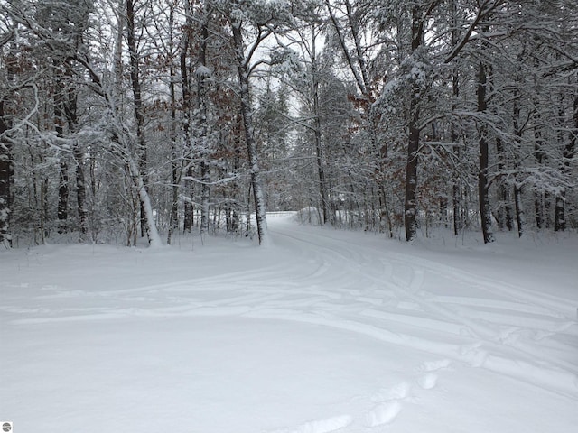 snowy yard featuring a wooded view