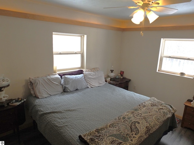 bedroom featuring a ceiling fan, wood finished floors, and multiple windows