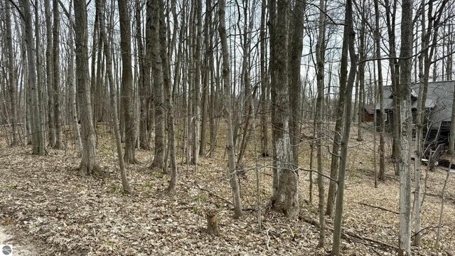 LOT60 Val Disere Dr, Bellaire, MI 49615